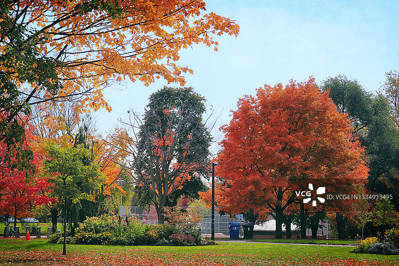 多姿多彩的自然:公园里的秋天色彩图片素材