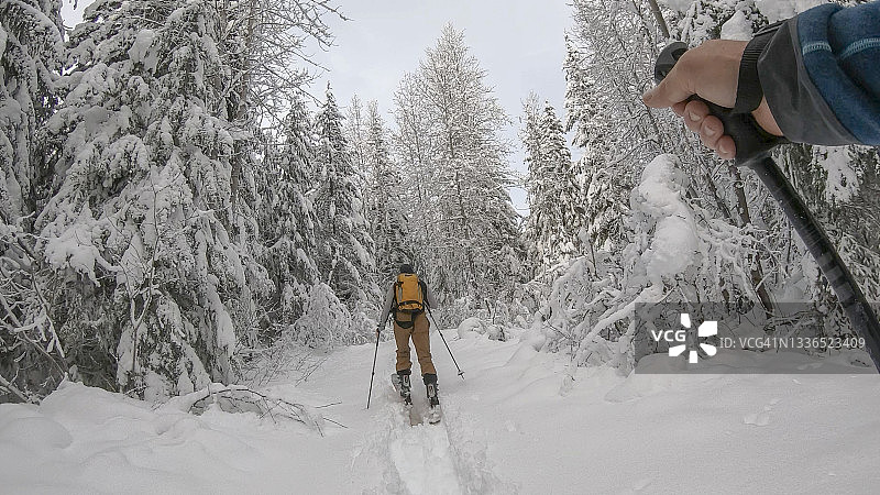 年轻人在野外滑雪穿过白雪皑皑的森林图片素材
