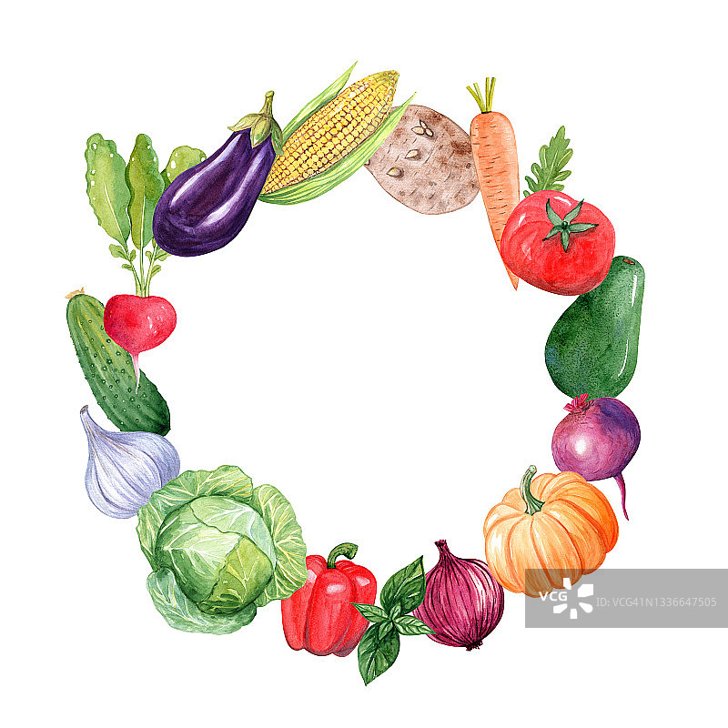 水彩蔬菜圆花环孤立在白色背景上图片素材