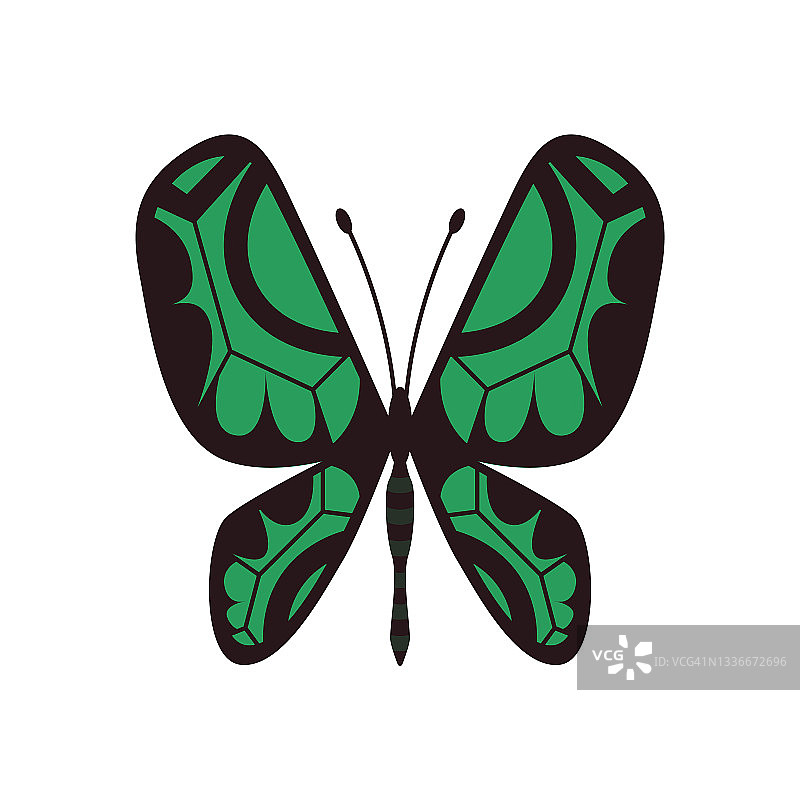 奇异的彩色蝴蝶。手绘的飞蛾翅膀或昆虫。卡通热带动物。孤立的矢量图标图片素材