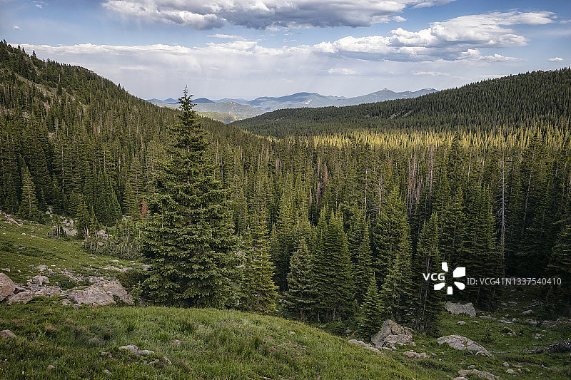 科罗拉多州詹姆斯峰荒野的森林景观图片素材