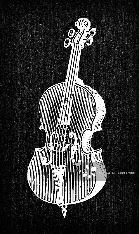古色古香的法国版画插图:大提琴图片素材