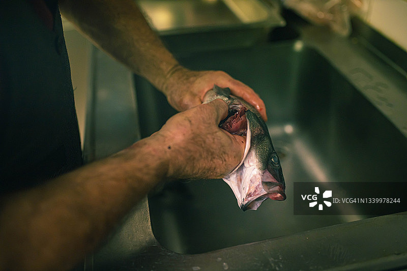 在厨房餐厅，高级厨师正在剖开海鲈鱼的内脏图片素材