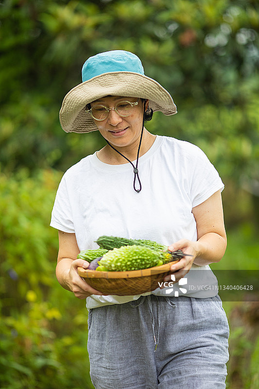 可持续生活——女农民拿着一篮子新鲜收获的蔬菜(戈雅-冲绳超级食品)图片素材