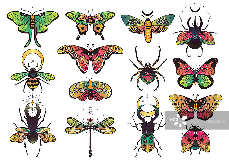 收集幻想多彩的昆虫设计。矢量图形。图片素材