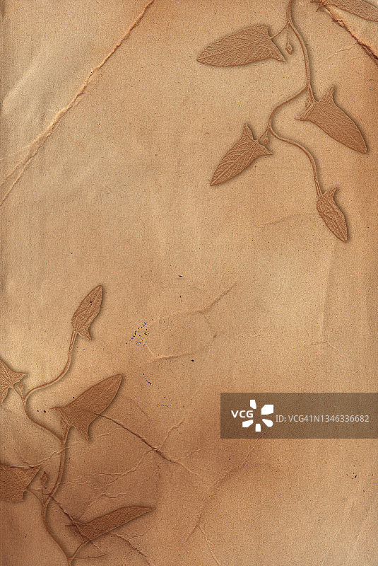 古老的粗糙纸与植物浮雕纹理图片素材