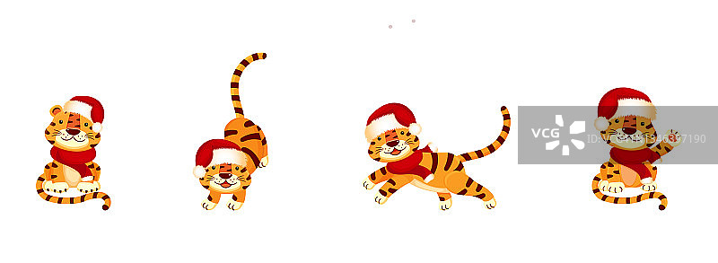 集新年的老虎在圣诞老人的帽子在白色孤立的背景。图片素材