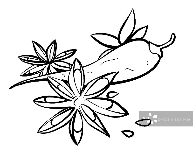 茴芹和辣椒香料的线性插图图片素材