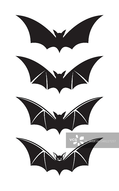 蝙蝠的剪影图片素材