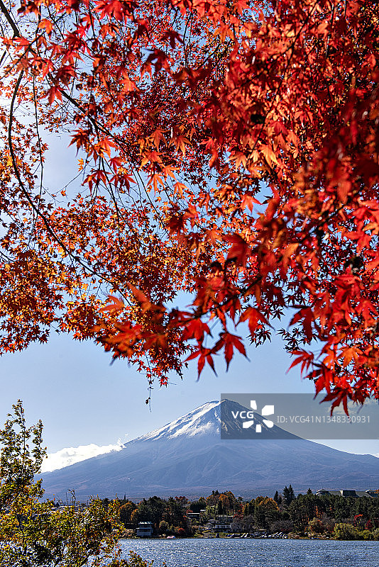 日本川口湖的富士山与秋日多云的红枫图片素材