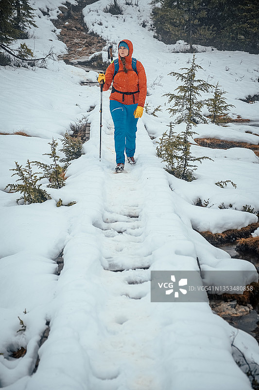 在斯特拉斯科纳省公园，一名女性背包客穿过一座被雪覆盖的桥图片素材