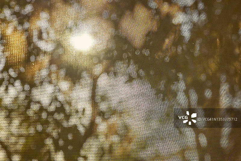 抽象的阳光图案，树影在窗纱上图片素材