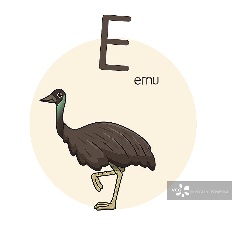 向量插图的Emu与字母E大写字母或大写字母的儿童学习练习ABC图片素材