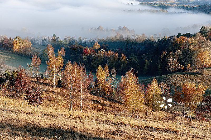 欧洲斯洛文尼亚，普里默斯卡高原的秋天图片素材