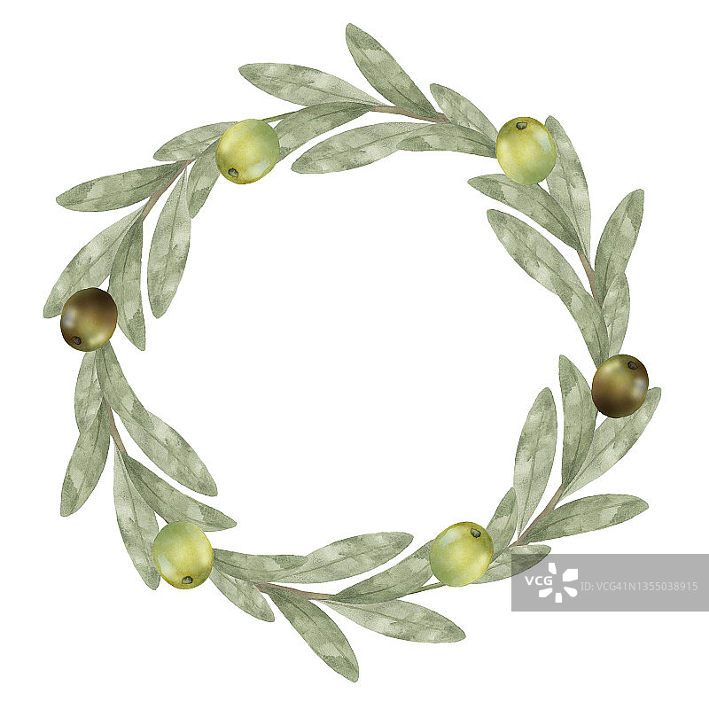 水彩绿色橄榄叶花环图片素材