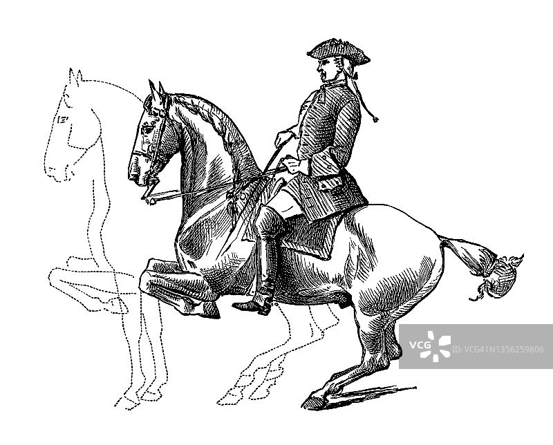 古雕刻的Croupade插图-运动表现在古典骑马，其中马从地面跳跃，它的腿塞在它的身体下图片素材