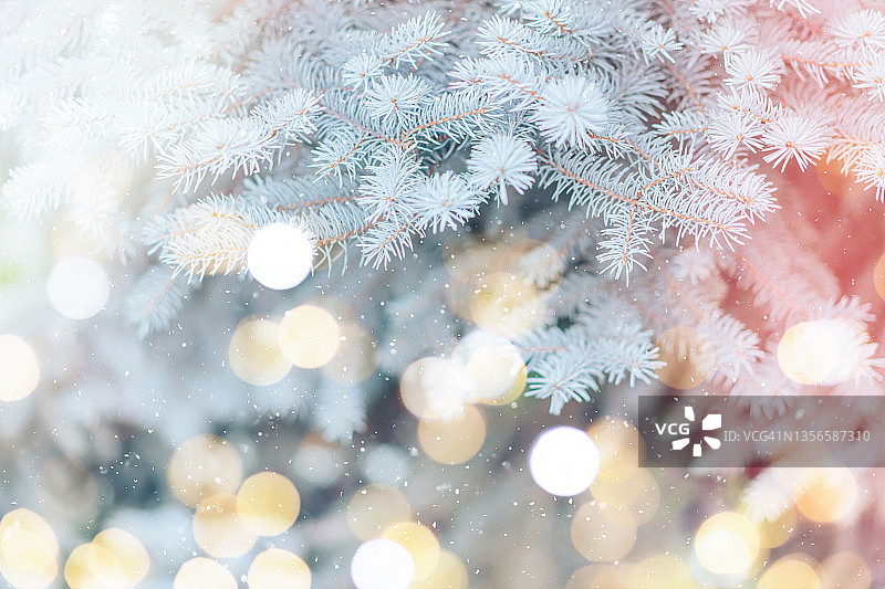 圣诞树的树枝映衬着飘落的雪花和花环上的彩灯图片素材