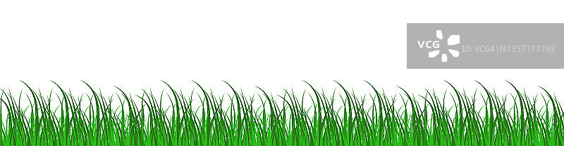 绿草边界。草的轮廓在透明的背景。绿色草坪全景。模板与草本边界为您的设计。矢量插图。图片素材