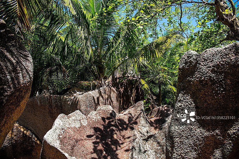 塞舌尔，拉迪格，塞舌尔，拉迪格以南的花岗岩、海滩和丛林图片素材