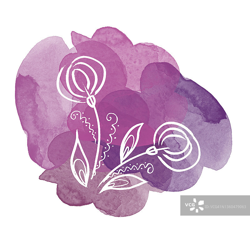 花植物白色蒲公英花水彩彩色紫色斑点。孤立的插画元素。线艺术手绘野花在白色背景图片素材