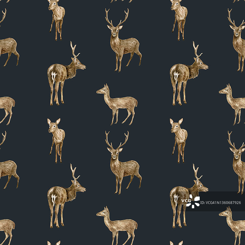 水彩鹿无缝图案。手绘现实的白尾鹿，母鹿和小鹿在黑色的背景上。林地动物画。棕色驯鹿用于壁纸、图案、织物和印花。图片素材