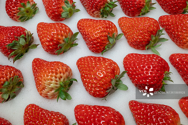 红色的草莓图片素材