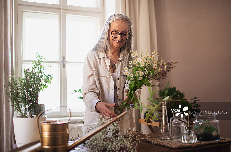快乐的老女人在家照顾室内植物。图片素材