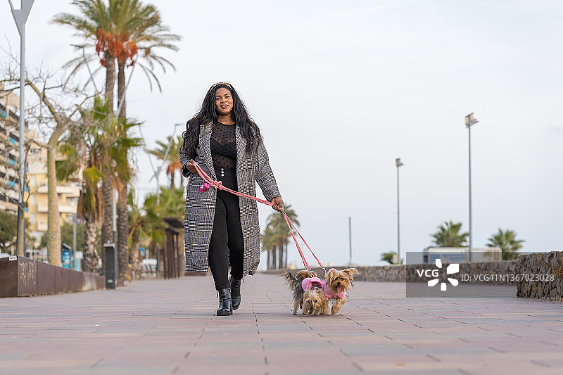 一位非洲裔美国妇女带着她的三条狗散步图片素材
