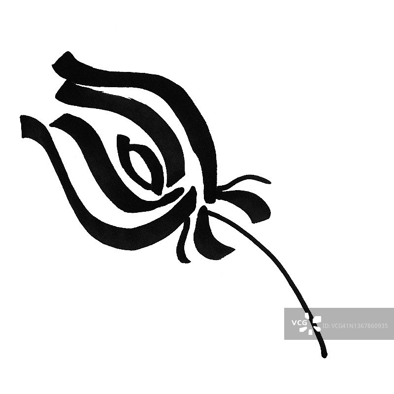 标记鲜红的玫瑰叶用手绘线条描边图片素材