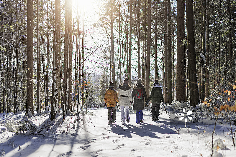 在一个阳光明媚的日子里，一家人在美丽的冬季森林里徒步旅行图片素材