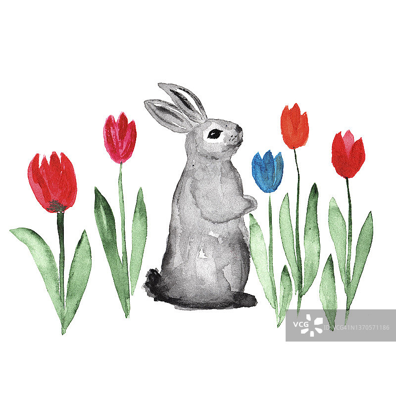 郁金香里的水彩兔子，插花的复活节兔子。复活节和春天贺卡图片素材