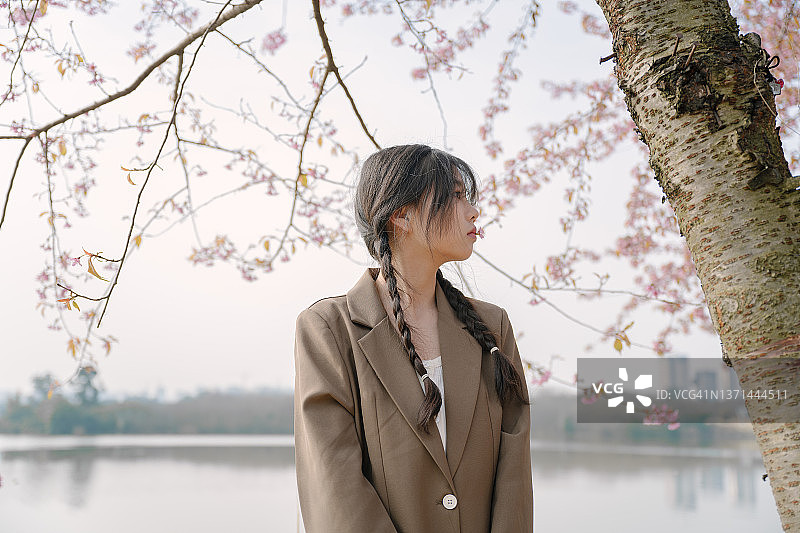 樱桃树下的年轻亚洲女孩图片素材