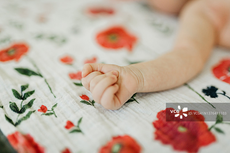 新生的手臂伸在白色的罂粟花印花毯子上图片素材