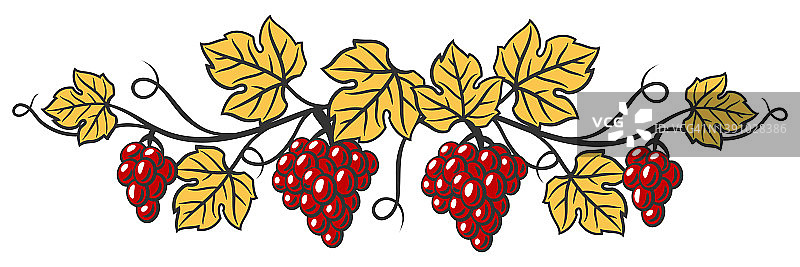 葡萄与叶子和葡萄串的插图。餐厅和酒吧的酒庄形象。图片素材