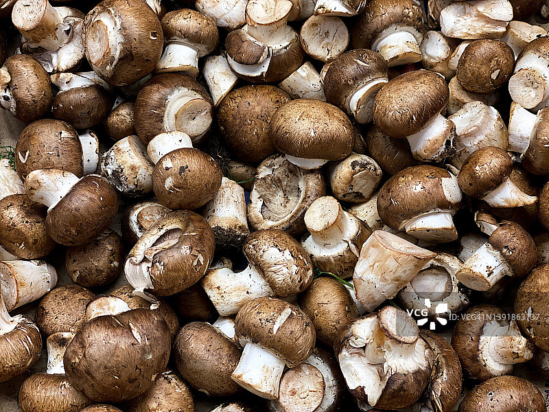 市场上有一堆贝拉宝宝蘑菇图片素材