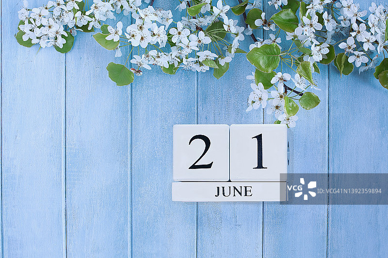 夏至6月21日美丽的春天树开花在和平的蓝色背景图片素材