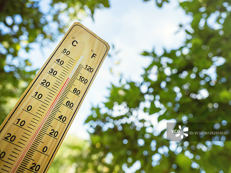 木制温度计显示在阳光明媚的日子在树荫下的高温。图片素材