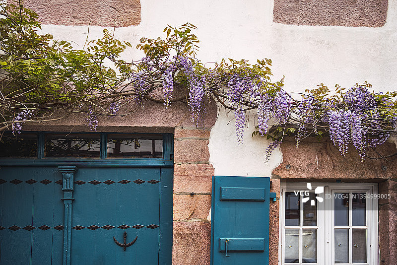 白色立面，蓝色木窗和木门。正面有紫罗兰花。图片素材