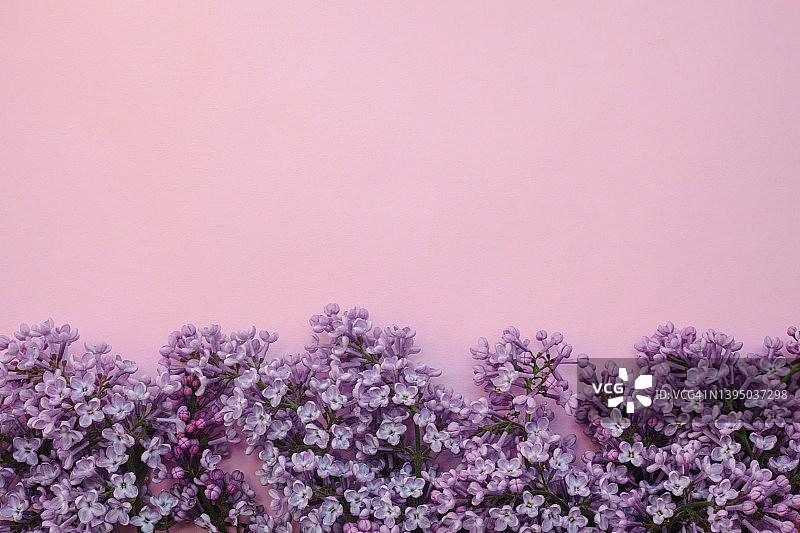 淡紫色花在粉红色的背景与复制空间。问候春夏贺卡。粉色花母亲节卡片。图片素材
