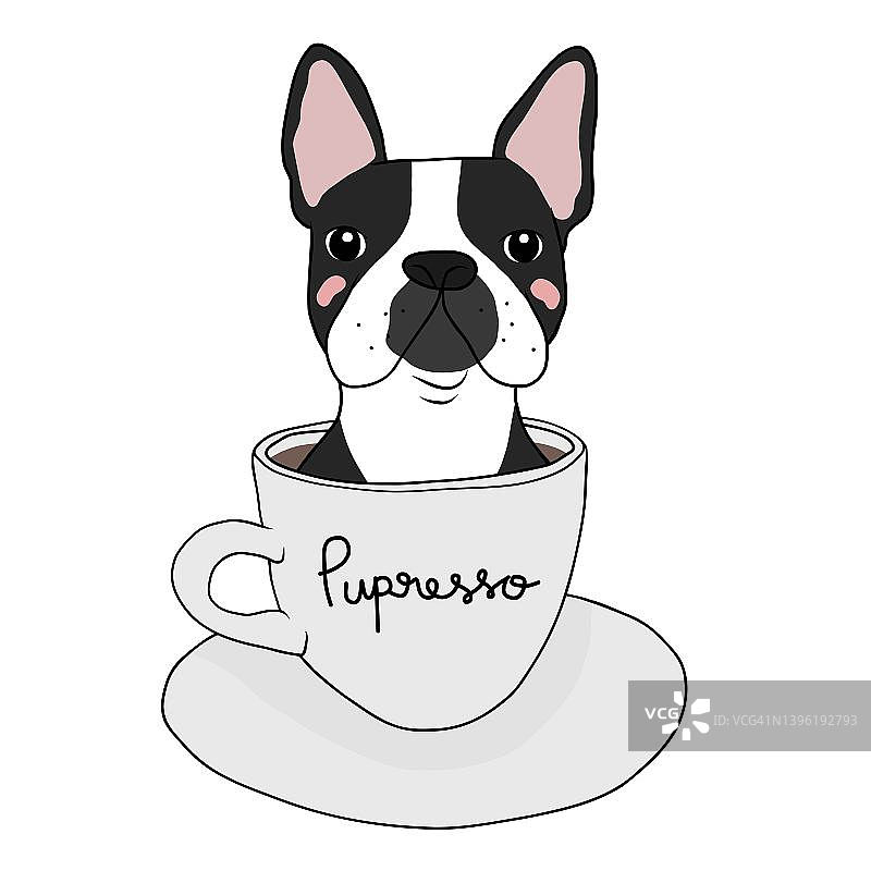 波士顿梗狗在咖啡杯与Pupresso文字卡通矢量插图图片素材