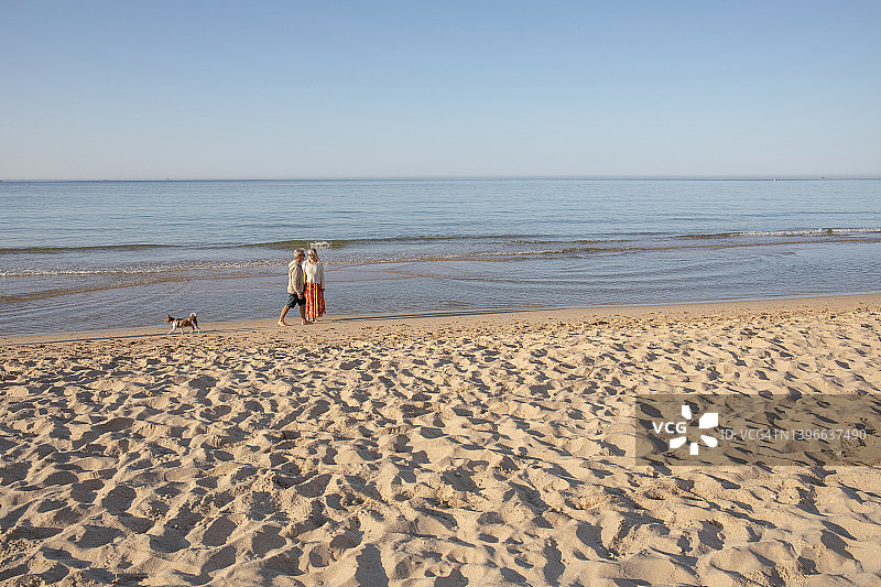 成熟的夫妇和狗沿着沙滩散步图片素材
