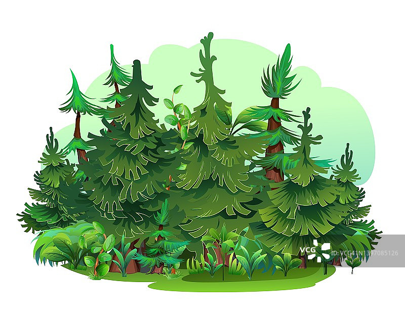 松林中的空地。松柏科的云杉树。景观卡通风格。孤立在白色背景。向量图片素材