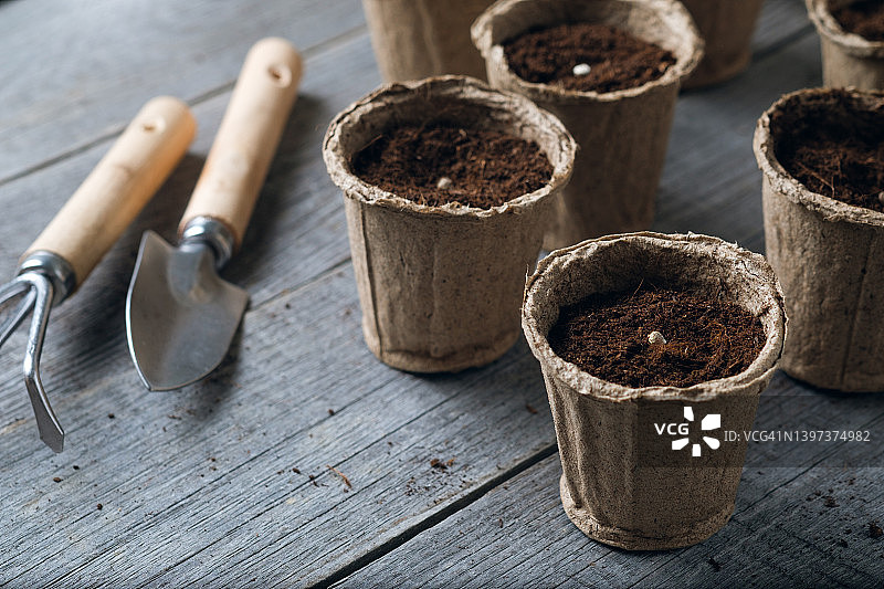 种子被放置在一个装满土壤的可生物降解泥炭罐中。园艺工具，一把小铲子和一把耙子。种植和播种花卉、植物、水果或蔬菜。种植环保产品的有机农场。园艺的概念。空间的副本。图片素材