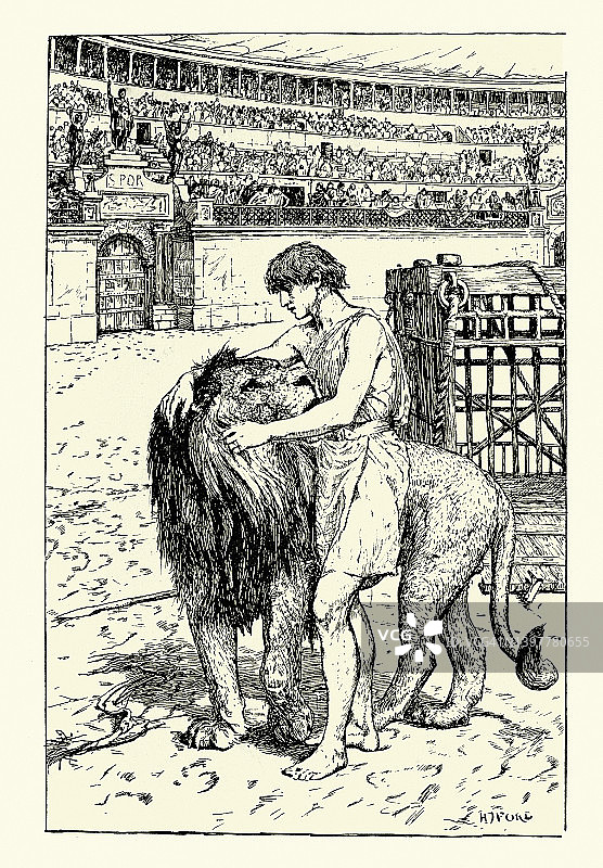 《安德罗克勒斯与狮子》，一个关于古罗马人与狮子成为朋友的民间故事图片素材