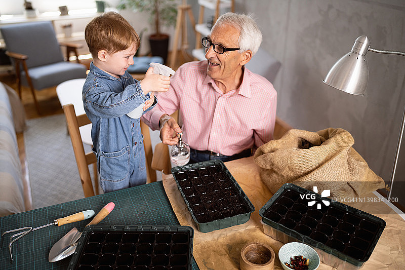 老人在孙子的帮助下照料盆栽图片素材