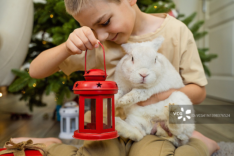 小男孩玩小白兔和大红灯笼图片素材
