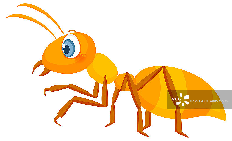 黄色蚂蚁被隔离在白色背景上图片素材