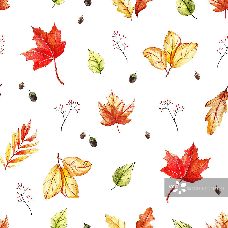 无缝水彩图案与秋叶。彩色明亮的插图孤立在白色背景。图片素材