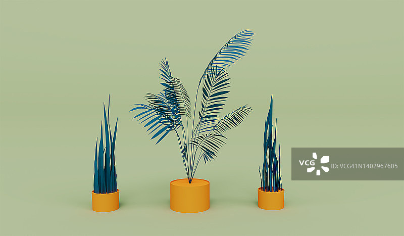 三种植物3d渲染芽颜色背景图片素材