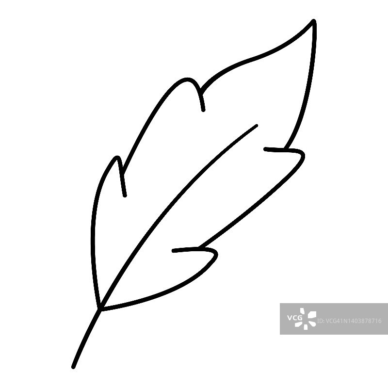 钢笔。手绘黑色鸟类羽毛。图片素材